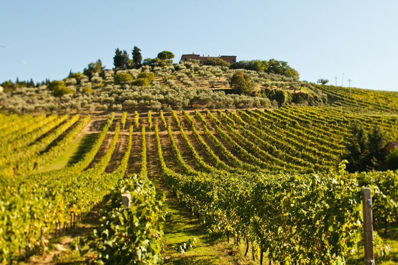 tenuta palazzo astolfi